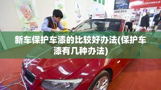新车保护车漆的比较好办法(保护车漆有几种办法)