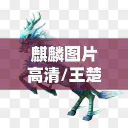 麒麟图片高清/王楚钦麒麟图片高清 麒麟图片高清/王楚钦麒麟图片高清