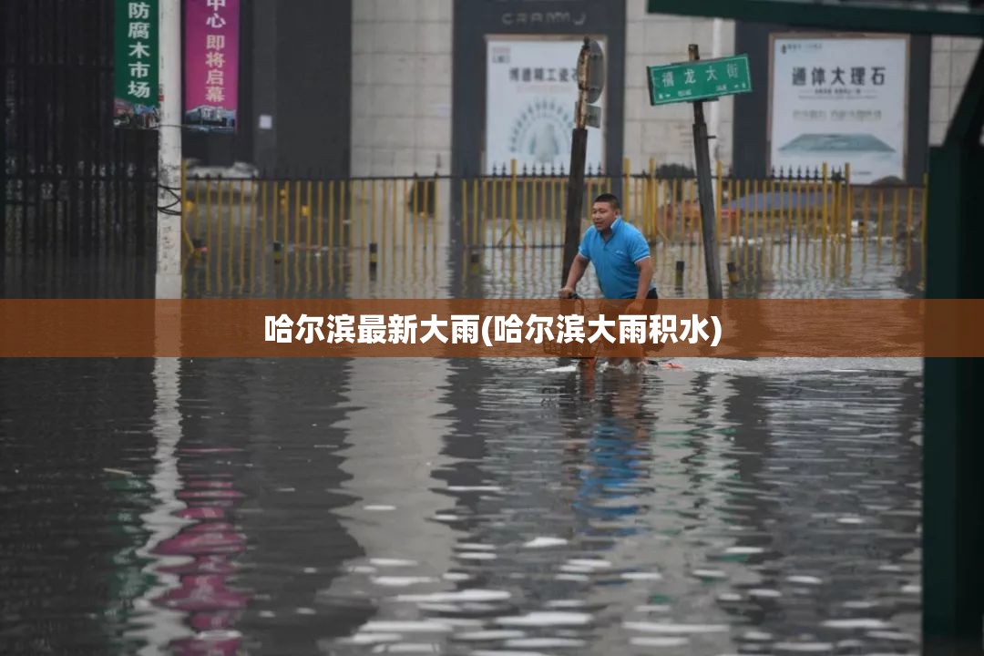 哈尔滨最新大雨(哈尔滨大雨积水) 哈尔滨最新大雨(哈尔滨大雨积水)