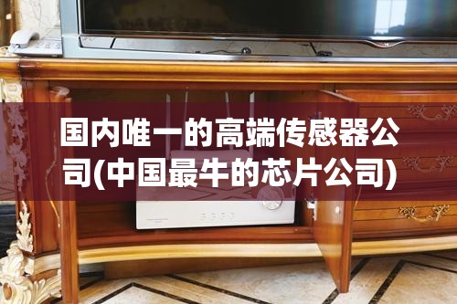 国内唯一的高端传感器公司(中国最牛的芯片公司)