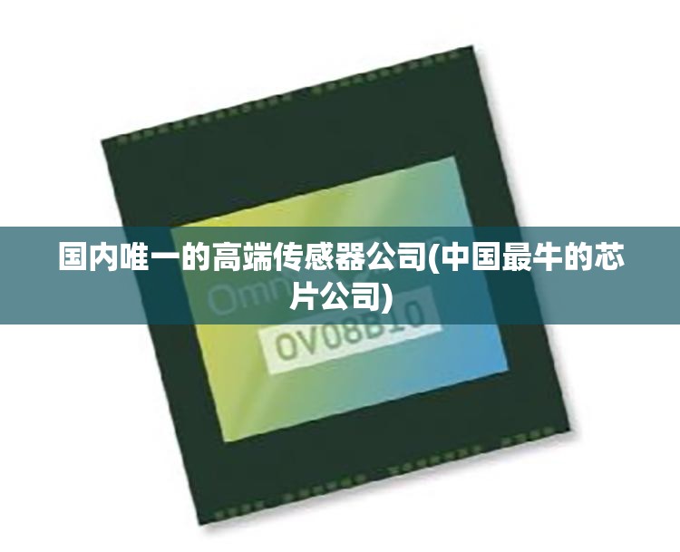 国内唯一的高端传感器公司(中国最牛的芯片公司)