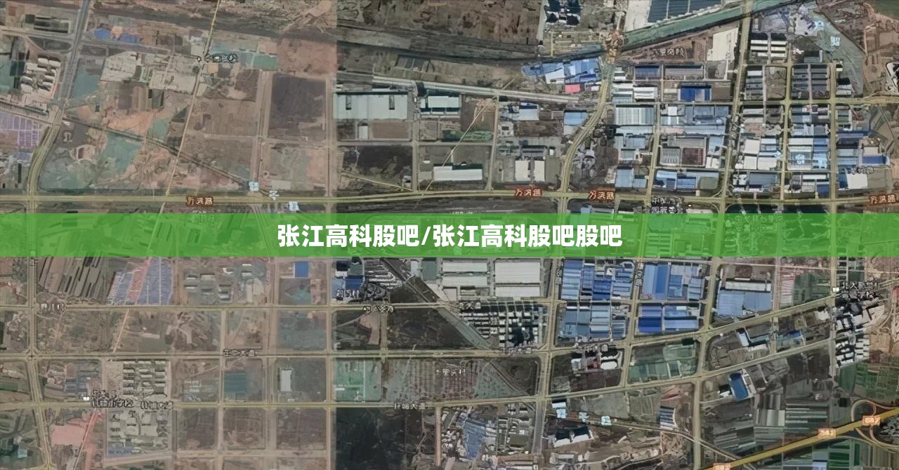 张江高科股吧/张江高科股吧股吧
