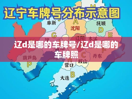 辽d是哪的车牌号/辽d是哪的车牌照