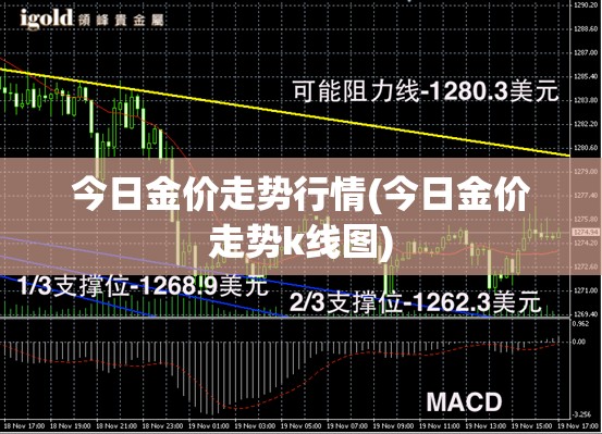今日金价走势行情(今日金价走势k线图)