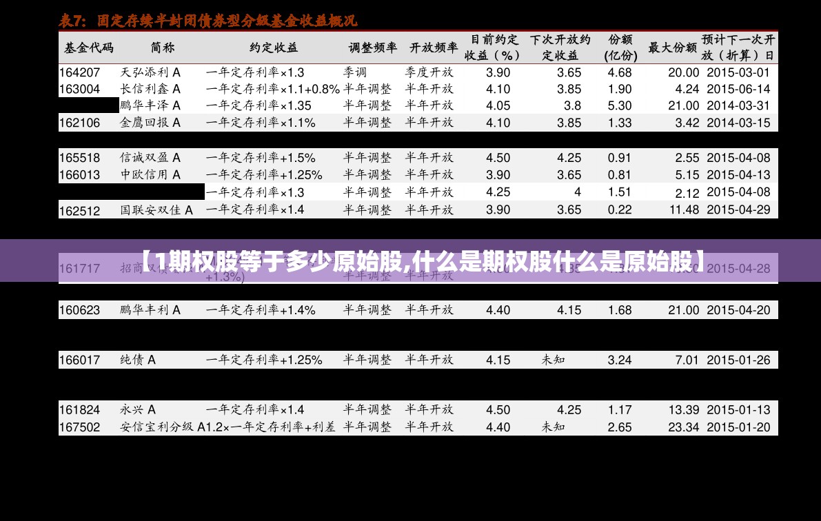【1期权股等于多少原始股,什么是期权股什么是原始股】