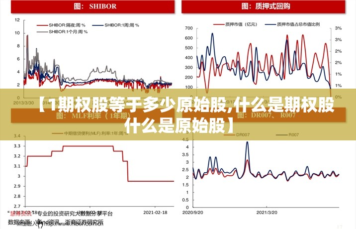 【1期权股等于多少原始股,什么是期权股什么是原始股】