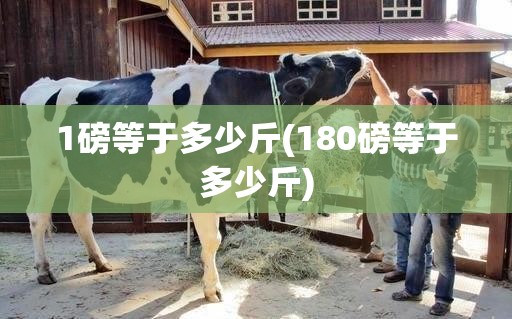 1磅等于多少斤(180磅等于多少斤)