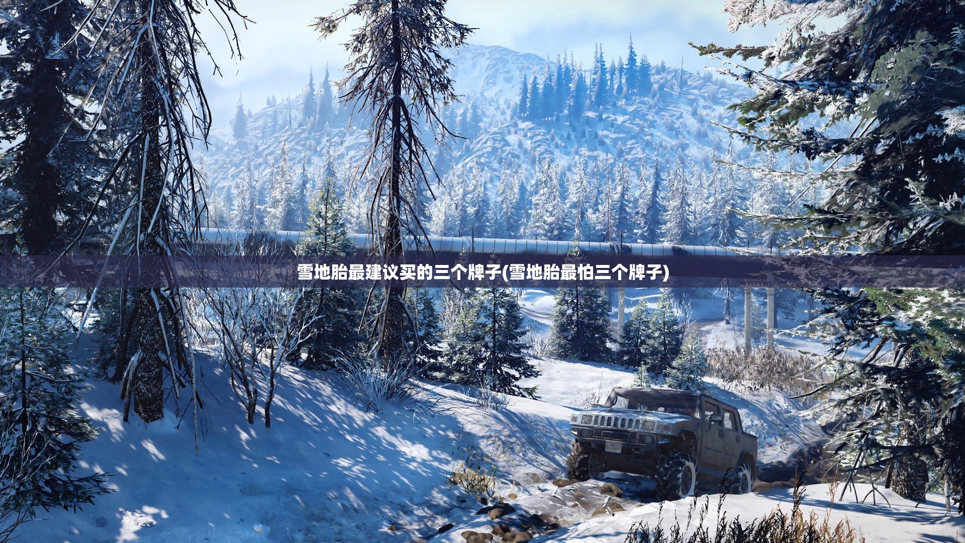 雪地胎最建议买的三个牌子(雪地胎最怕三个牌子)