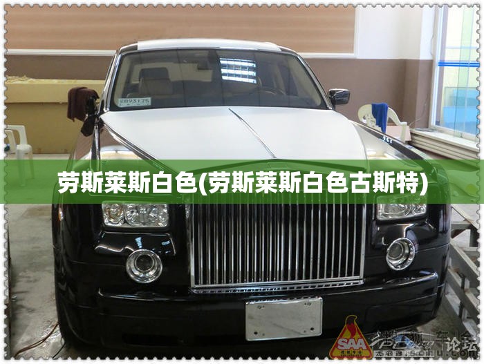 劳斯莱斯白色(劳斯莱斯白色古斯特)