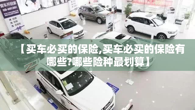 【买车必买的保险,买车必买的保险有哪些?哪些险种最划算】 【买车必买的保险,买车必买的保险有哪些?哪些险种最划算】
