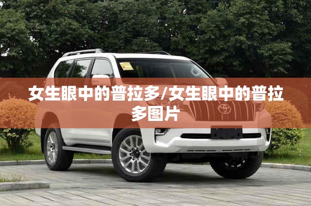 女生眼中的普拉多/女生眼中的普拉多图片