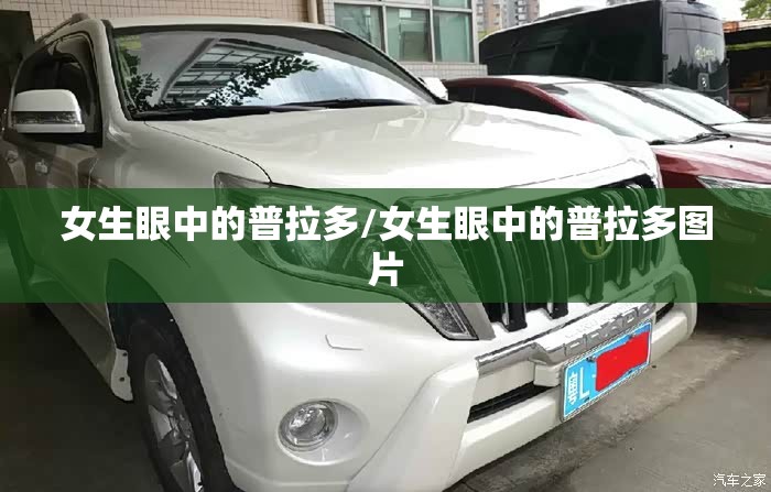 女生眼中的普拉多/女生眼中的普拉多图片