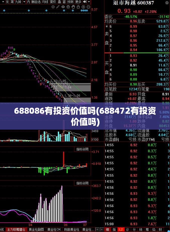 688086有投资价值吗(688472有投资价值吗)