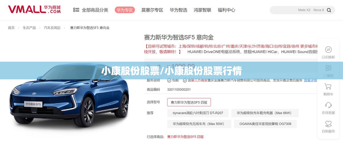 小康股份股票/小康股份股票行情