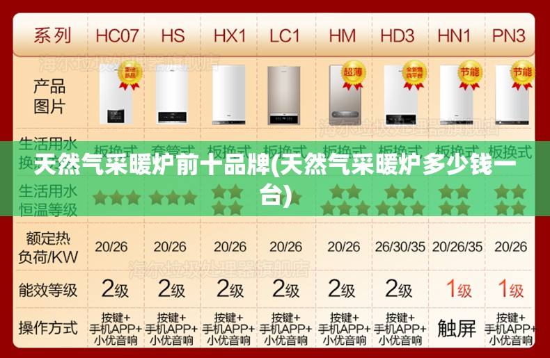 天然气采暖炉前十品牌(天然气采暖炉多少钱一台)