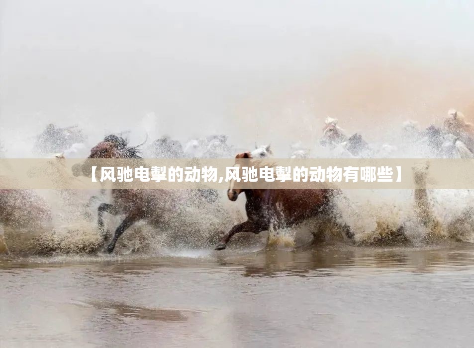 【风驰电掣的动物,风驰电掣的动物有哪些】 【风驰电掣的动物,风驰电掣的动物有哪些】