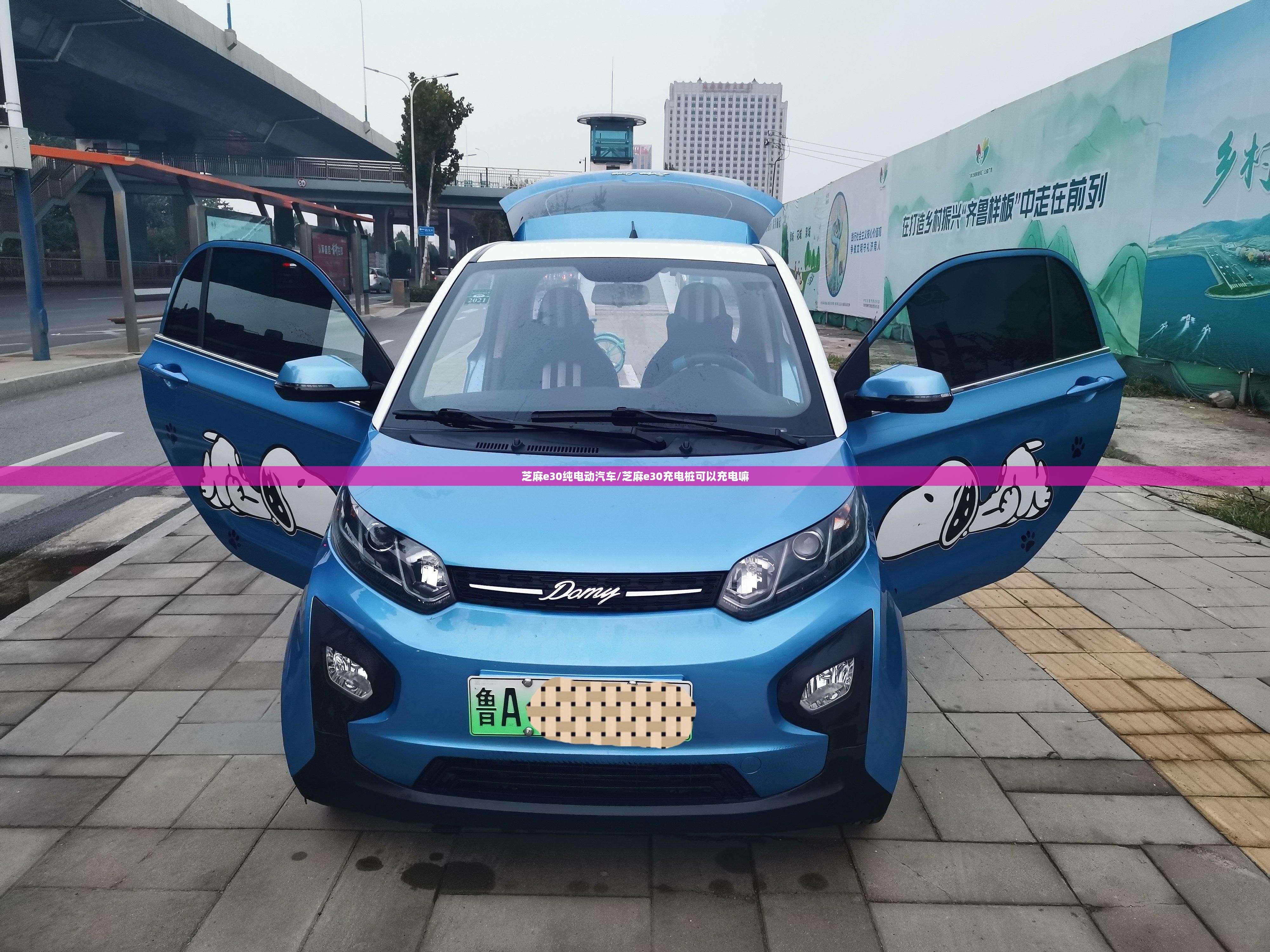 芝麻e30纯电动汽车/芝麻e30充电桩可以充电嘛