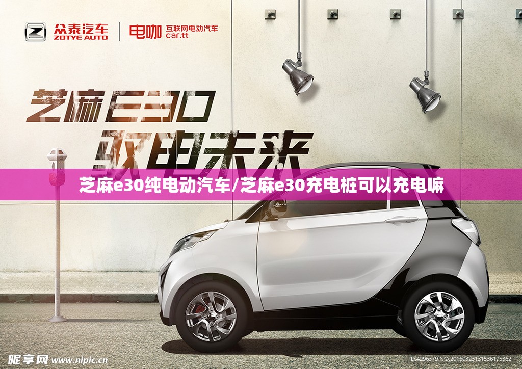 芝麻e30纯电动汽车/芝麻e30充电桩可以充电嘛