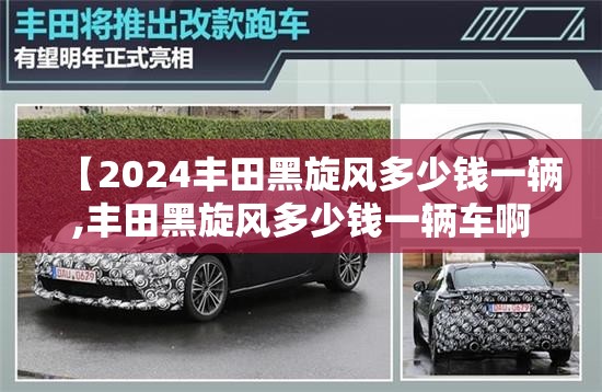 【2024丰田黑旋风多少钱一辆,丰田黑旋风多少钱一辆车啊】