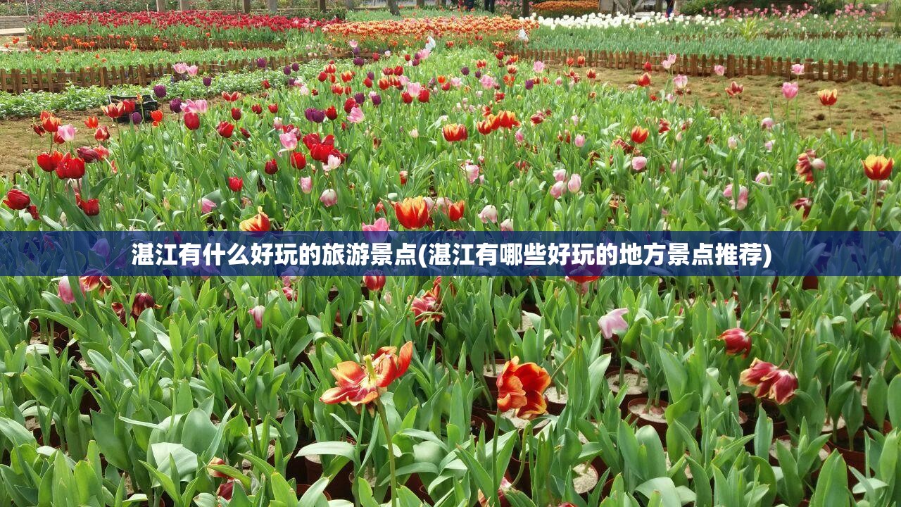 湛江有什么好玩的旅游景点(湛江有哪些好玩的地方景点推荐)