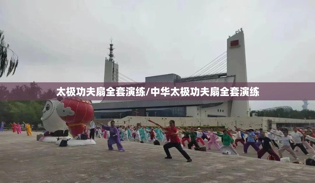 太极功夫扇全套演练/中华太极功夫扇全套演练