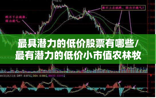最具潜力的低价股票有哪些/最有潜力的低价小市值农林牧渔股票 最具潜力的低价股票有哪些/最有潜力的低价小市值农林牧渔股票