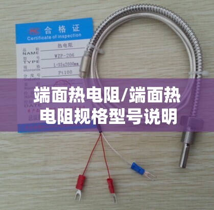 端面热电阻/端面热电阻规格型号说明