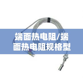 端面热电阻/端面热电阻规格型号说明