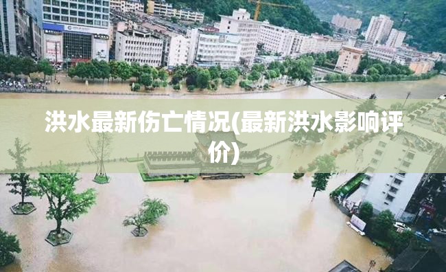 洪水最新伤亡情况(最新洪水影响评价)