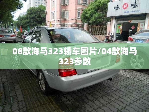 08款海马323轿车图片/04款海马323参数