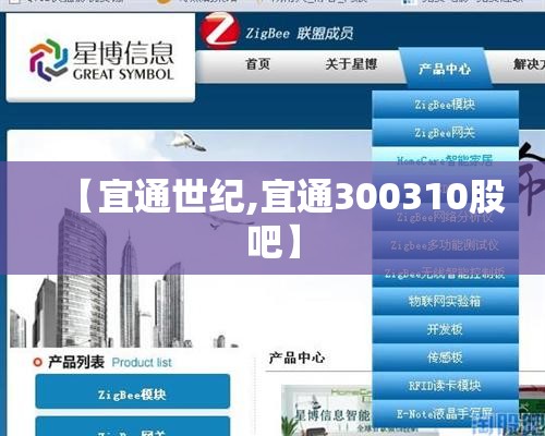 【宜通世纪,宜通300310股吧】