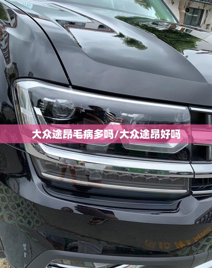 大众途昂毛病多吗/大众途昂好吗