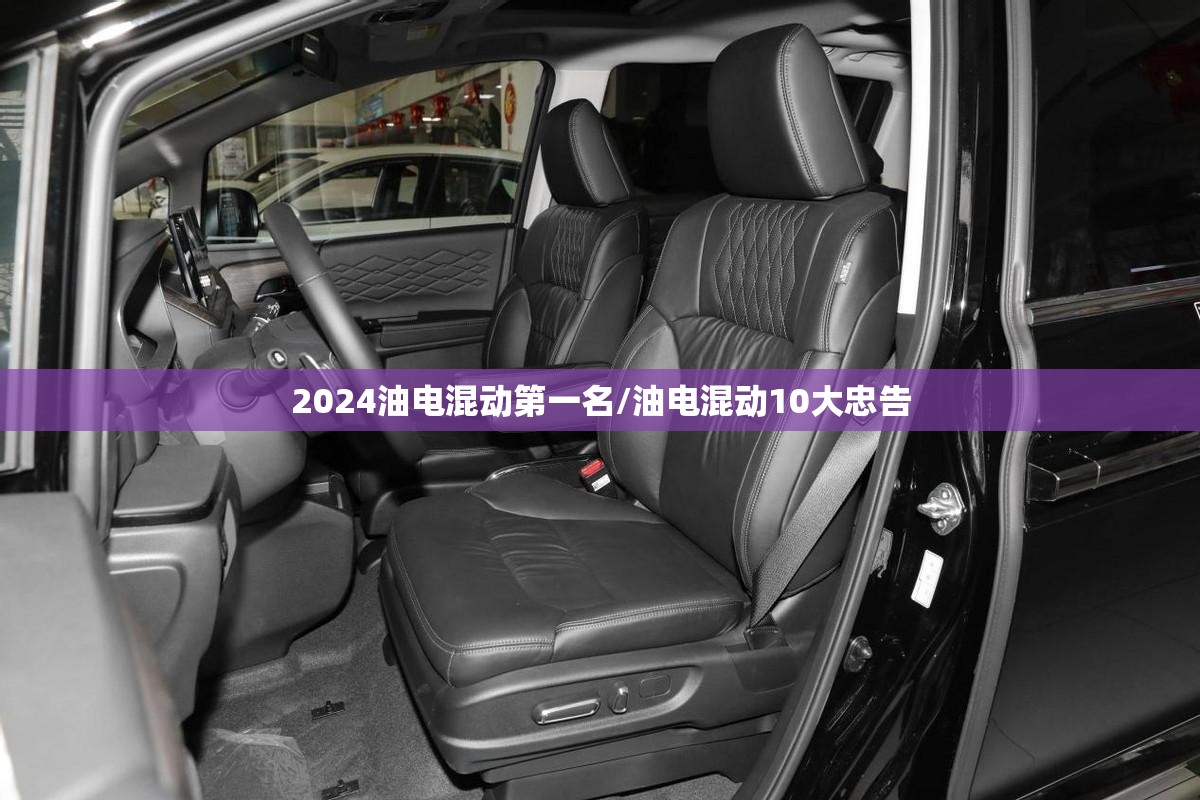 2024油电混动第一名/油电混动10大忠告 2024油电混动第一名/油电混动10大忠告