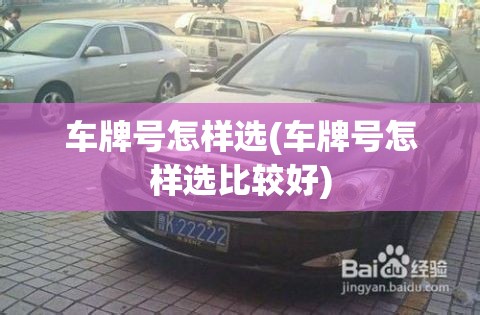 车牌号怎样选(车牌号怎样选比较好)