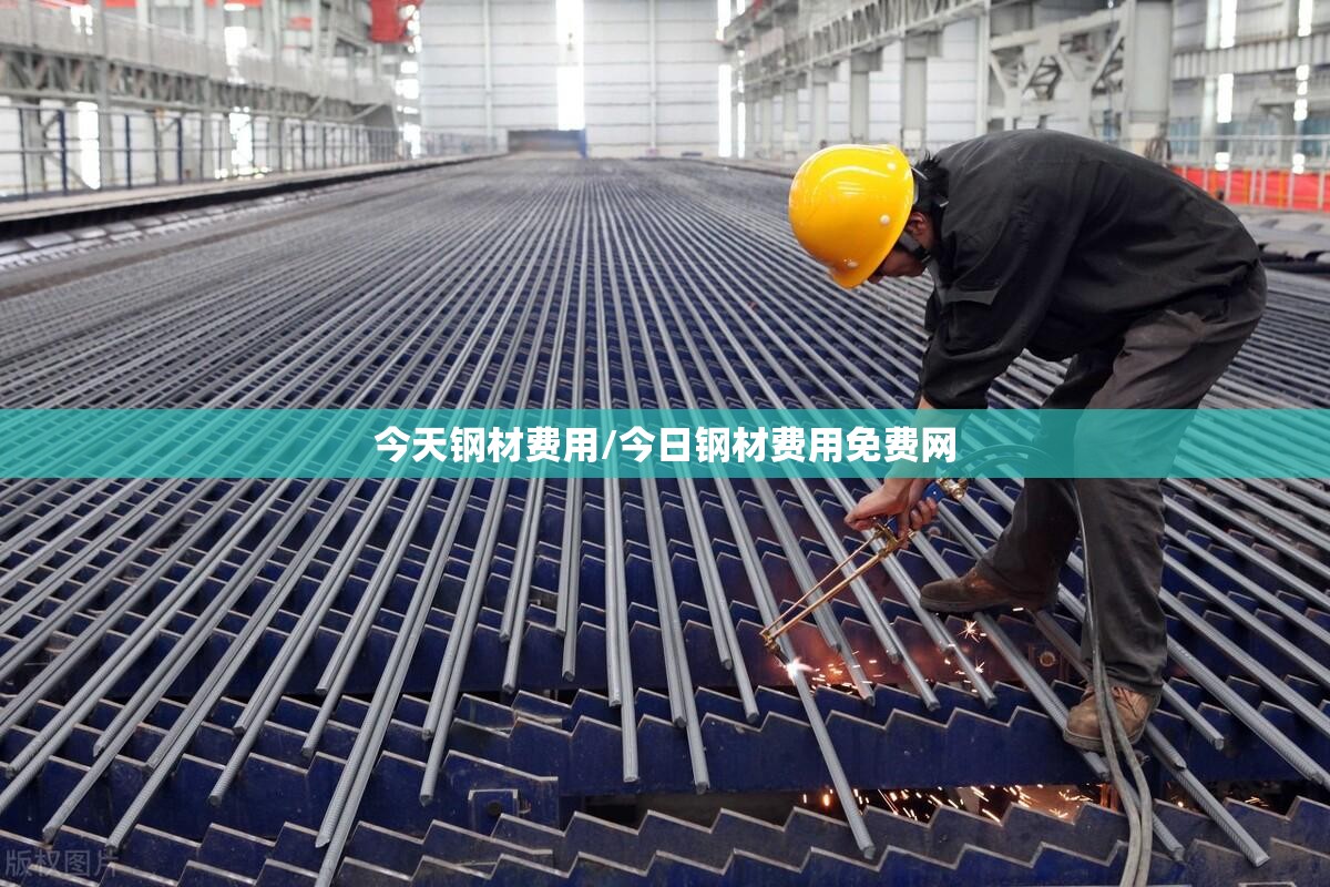 今天钢材费用/今日钢材费用免费网