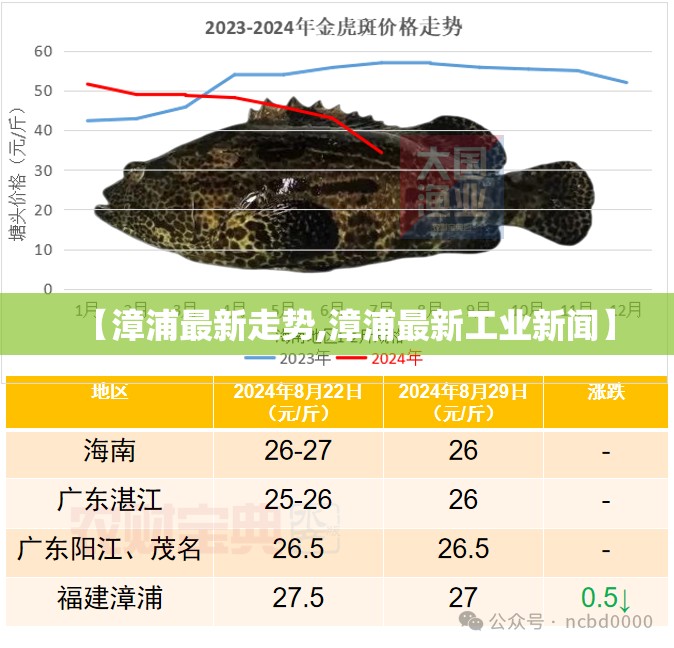 【漳浦最新走势,漳浦最新工业新闻】 【漳浦最新走势,漳浦最新工业新闻】