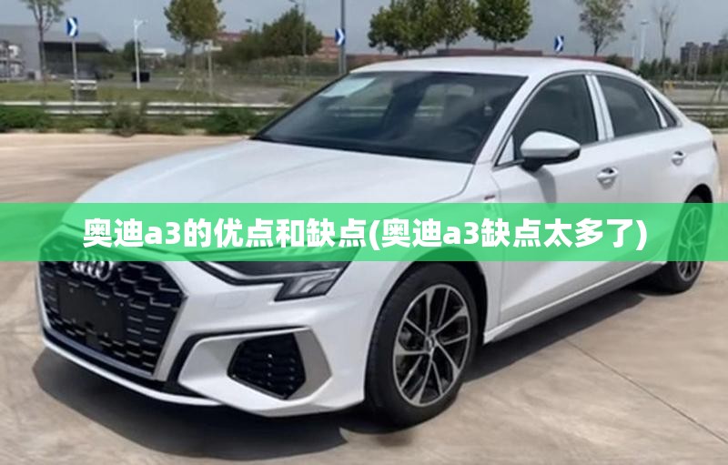 奥迪a3的优点和缺点(奥迪a3缺点太多了)