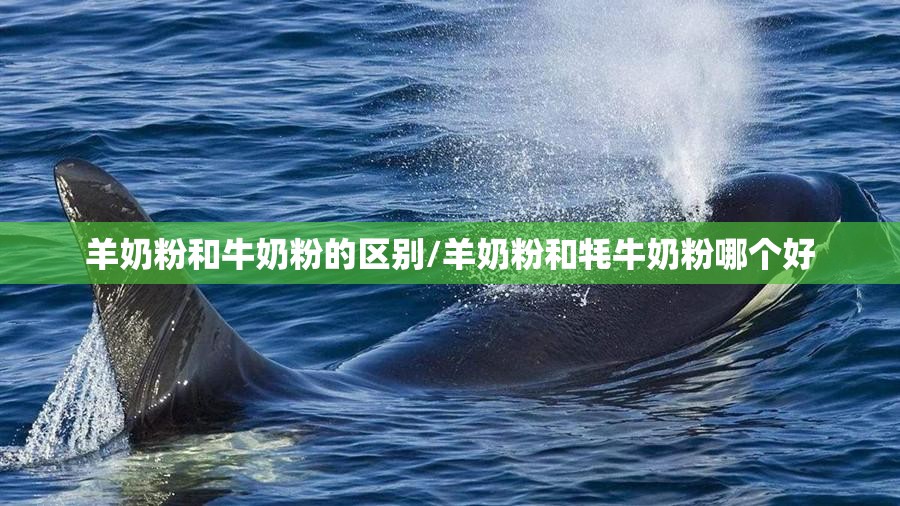 羊奶粉和牛奶粉的区别/羊奶粉和牦牛奶粉哪个好 羊奶粉和牛奶粉的区别/羊奶粉和牦牛奶粉哪个好