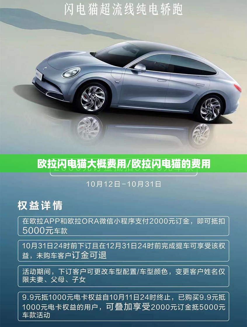 欧拉闪电猫大概费用/欧拉闪电猫的费用