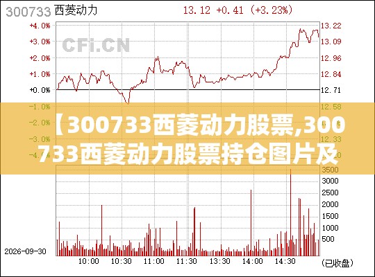 【300733西菱动力股票,300733西菱动力股票持仓图片及费用】