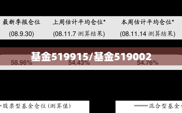 基金519915/基金519002