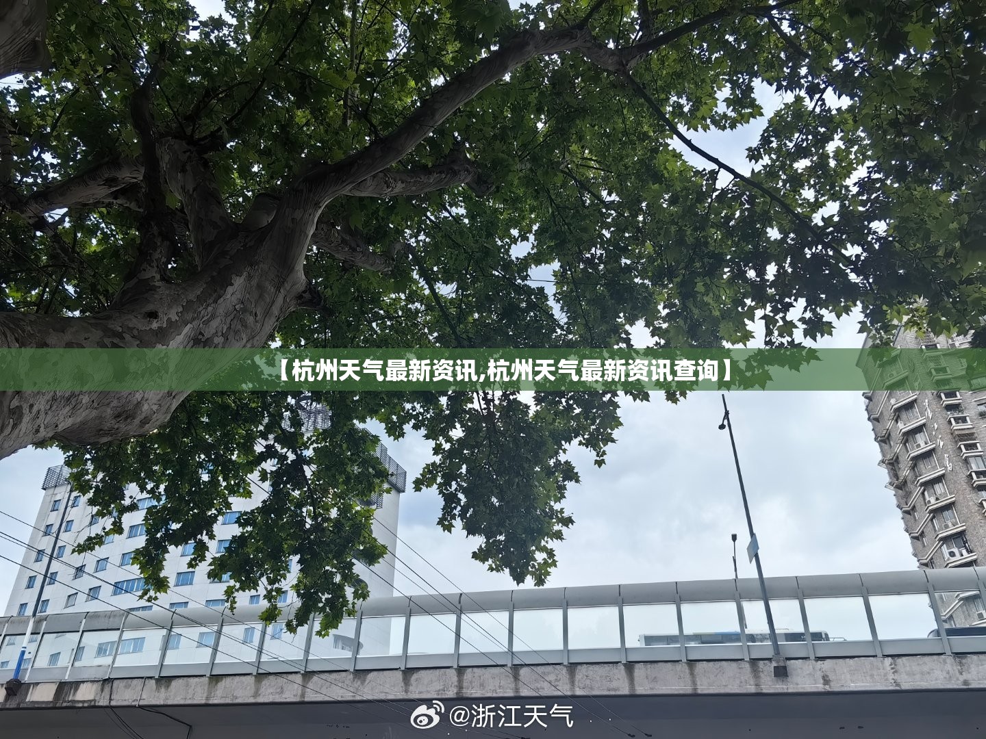 【杭州天气最新资讯,杭州天气最新资讯查询】 【杭州天气最新资讯,杭州天气最新资讯查询】