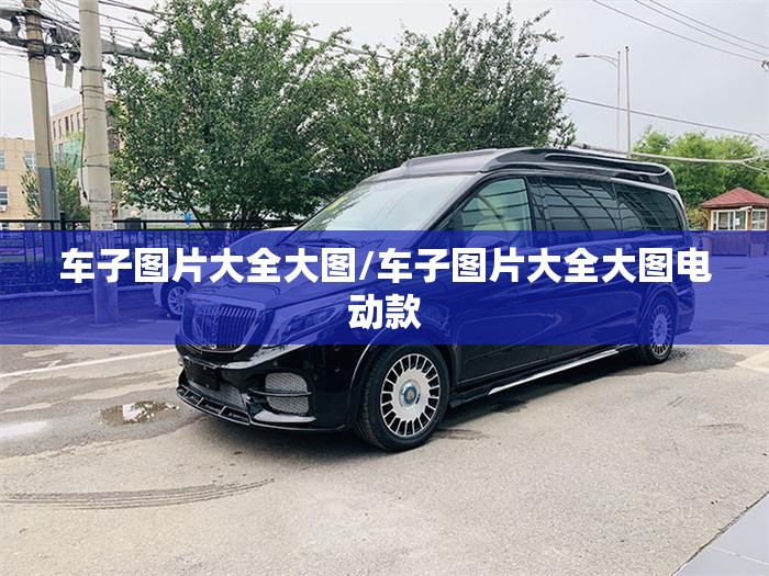 车子图片大全大图/车子图片大全大图电动款