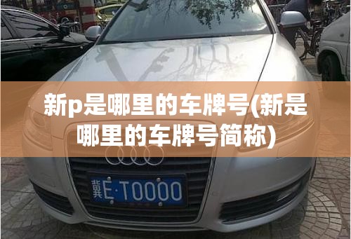 新p是哪里的车牌号(新是哪里的车牌号简称) 新p是哪里的车牌号(新是哪里的车牌号简称)