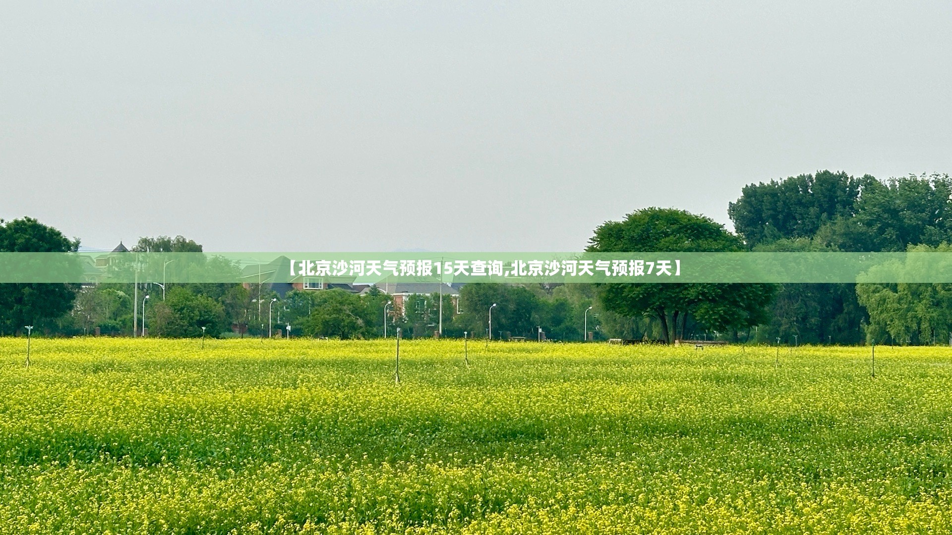 【北京沙河天气预报15天查询,北京沙河天气预报7天】