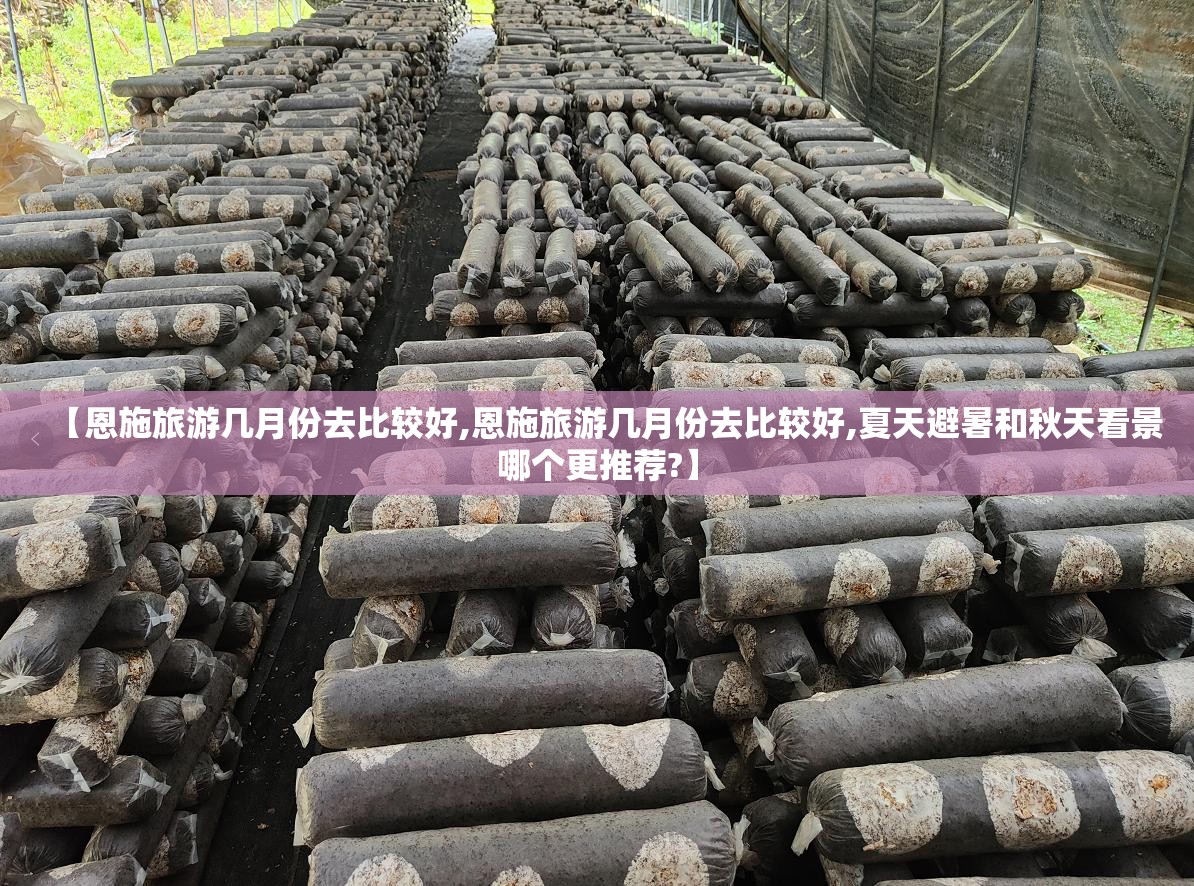 【恩施旅游几月份去比较好,恩施旅游几月份去比较好,夏天避暑和秋天看景哪个更推荐?】
