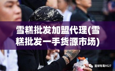 雪糕批发加盟代理(雪糕批发一手货源市场)