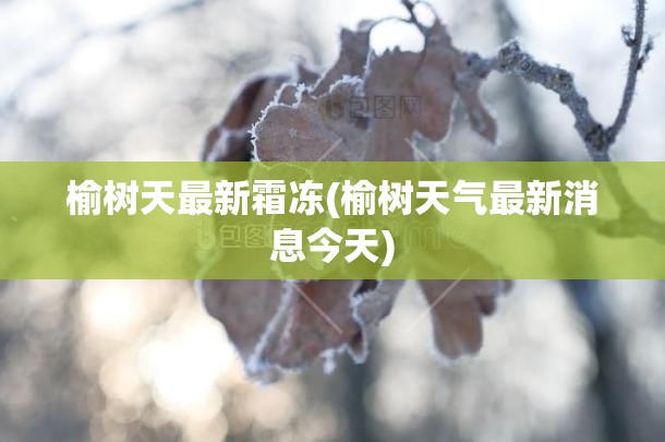 榆树天最新霜冻(榆树天气最新消息今天)
