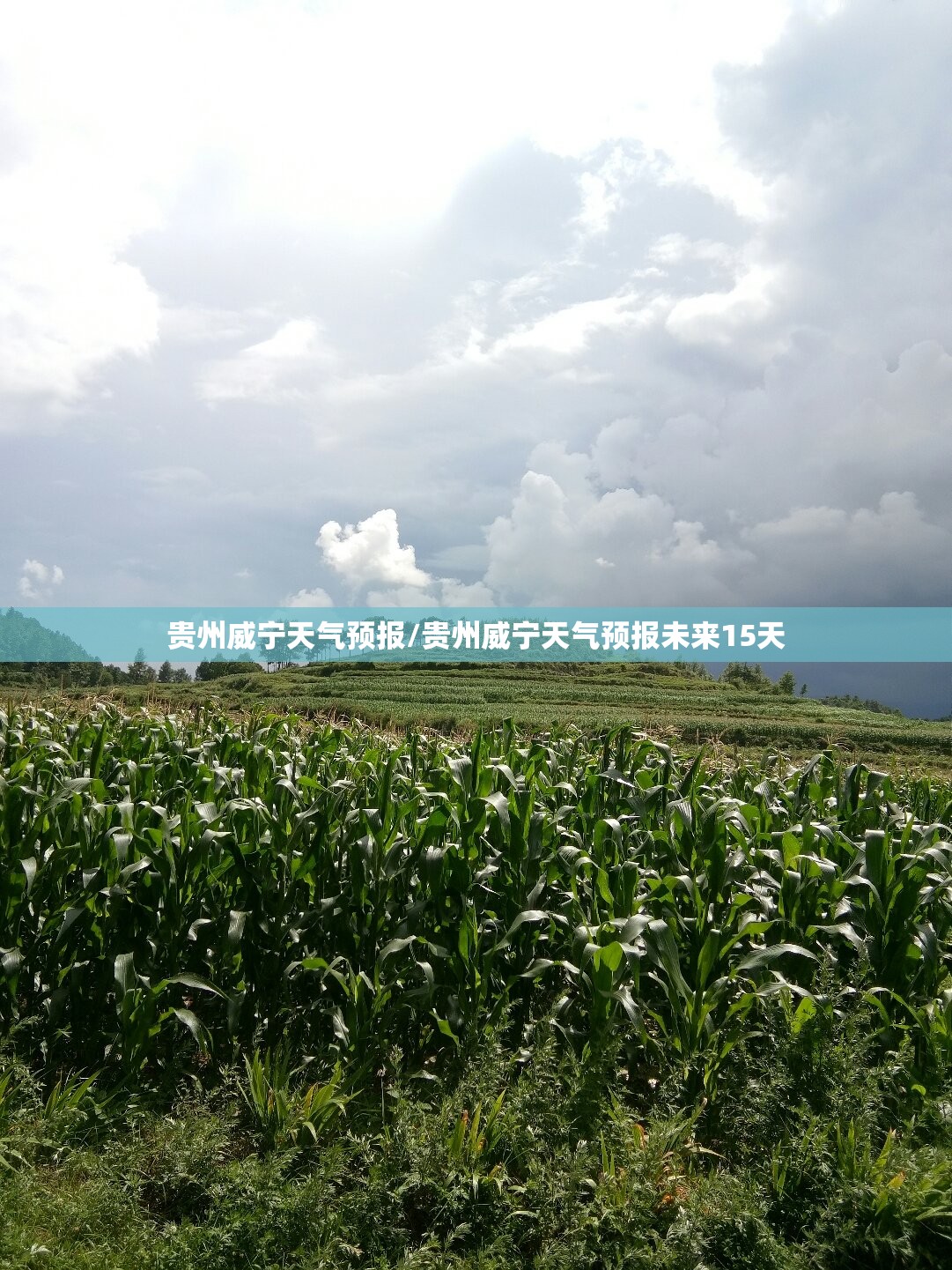 贵州威宁天气预报/贵州威宁天气预报未来15天 贵州威宁天气预报/贵州威宁天气预报未来15天