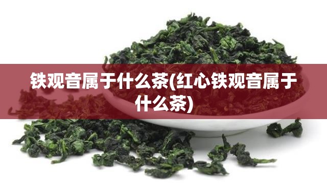 铁观音属于什么茶(红心铁观音属于什么茶)